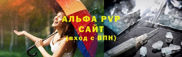 стаф Богородск