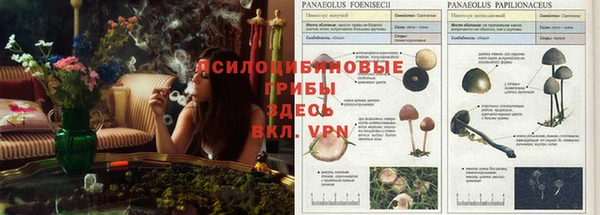круглые Бугульма